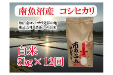 【令和7年産】【定期便 南魚沼産】コシヒカリ 白米5kg×12回【2025年9月中旬より順次発送予定】