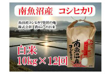 【令和7年産】【定期便 南魚沼産】コシヒカリ 白米10kg×12回【2025年9月中旬より順次発送予定】