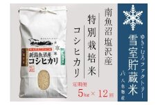 【令和７年産新米予約】特別栽培【定期便5kg×12回】雪室貯蔵米 南魚沼塩沢産コシヒカリ【2025年10月下旬より順次発送予定】