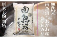 【新米予約・令和7年産】定期便★６ヶ月【無洗米】5kg南魚沼しおざわ産コシヒカリ