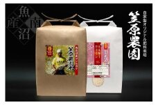 【令和７年産新米予約／令和７年（2025年）10月上旬より順次発送】南魚沼産 笠原農園米 コシヒカリ５kg・ミルキークイーン５kg　食べ比べセット
