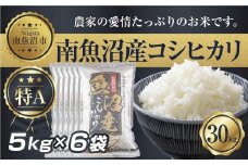 【令和7年産】 新潟県 南 魚沼産 コシヒカリ お米 5kg ×6袋 計30kg（お米の美味しい炊き方ガイド付き）【2025年10月中旬より順次発送予定】