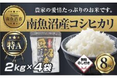 【令和7年産】 【無地熨斗】新潟県 南 魚沼産 コシヒカリ お米 2kg ×4袋 計8kg（お米の美味しい炊き方ガイド付き）【2025年10月中旬より順次発送予定】