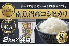 【令和7年産】 新潟県 南 魚沼産 コシヒカリ お米 2kg ×4袋 計8kg（お米の美味しい炊き方ガイド付き）【2025年10月中旬より順次発送予定】