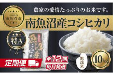 【定期便】無洗米  新潟県 南魚沼産 コシヒカリ お米 10kg×計12回 精米済み 年間 毎月発送 こしひかり（お米の美味しい炊き方ガイド付き）【2025年10月中旬より順次発送予定】