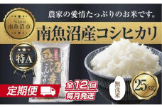 【定期便】無洗米  新潟県 南魚沼産 コシヒカリ お米 25kg×計12回 精米済み 年間 毎月発送 こしひかり（お米の美味しい炊き方ガイド付き）【2025年10月中旬より順次発送予定】