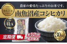 【定期便】 新潟県 南魚沼産 コシヒカリ お米30kg×計12回 精米済み 年間 毎月発送 こしひかり（お米の美味しい炊き方ガイド付き）【2025年10月中旬より順次発送予定】