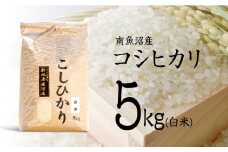 【令和7年産 新米予約】南魚沼産コシヒカリ（白米）【5kg】【令和7年10月中旬以降発送】【米 お米 こしひかり 南魚沼 米 白米 こめ 新潟 米】