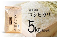【令和7年産 新米予約】南魚沼産コシヒカリ（無洗米）【5kg】【令和7年10月中旬以降発送】【米 お米 こしひかり 南魚沼 米 無洗米 こめ 新潟 米】