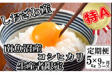 【令和7年産】【定期便／5kg×9ヶ月】生産者限定 契約栽培 南魚沼しおざわ産コシヒカリ【2025年10月上旬より順次発送予定】
