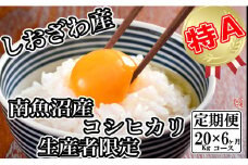 【令和7年産】【定期便／20kg×6ヶ月】生産者限定 契約栽培 南魚沼しおざわ産コシヒカリ【2025年10月上旬より順次発送予定】