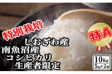 【令和7年産】特別栽培 生産者限定 南魚沼しおざわ産コシヒカリ10Kg【2025年10月上旬より順次発送予定】
