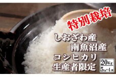 【令和7年産】特別栽培 生産者限定 南魚沼しおざわ産コシヒカリ20Kg【2025年10月上旬より順次発送予定】