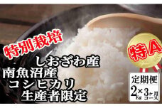 【令和7年産】【定期便：２Kg×3ヶ月】特別栽培 生産者限定  南魚沼しおざわ産コシヒカリ【2025年10月上旬より順次発送予定】
