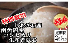 【令和7年産】【定期便：2Kg×6ヶ月】特別栽培 生産者限定  南魚沼しおざわ産コシヒカリ【2025年10月上旬より順次発送予定】