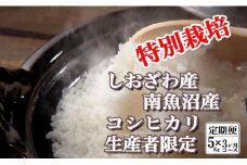 【令和7年産】【定期便：5Kg×3ヶ月】特別栽培 生産者限定  南魚沼しおざわ産コシヒカリ【2025年10月上旬より順次発送予定】