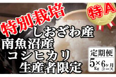 【令和7年産】【定期便：5Kg×6ヶ月】特別栽培 生産者限定  南魚沼しおざわ産コシヒカリ【2025年10月上旬より順次発送予定】