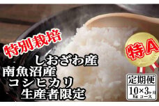 【令和7年産】【定期便：10Kg×3ヶ月】特別栽培 生産者限定  南魚沼しおざわ産コシヒカリ【2025年10月上旬より順次発送予定】