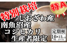 【令和7年産】【定期便：10Kg×12ヶ月】特別栽培 生産者限定 南魚沼しおざわ産コシヒカリ【2025年10月上旬より順次発送予定】