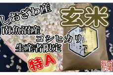 【令和7年産】【定期便】玄米 南魚沼しおざわ産コシヒカリ5Kg×12ヶ月【2025年10月上旬より順次発送予定】