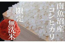【令和7年産】【定期便】《無洗米》南魚沼産コシヒカリ8Kg×全3回【2025年10月上旬より順次発送予定】