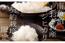 【令和7年産】【定期便】契約栽培限定 南魚沼しおざわ産コシヒカリ10Kg×6ヶ月【2025年10月上旬より順次発送予定】