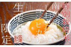 【令和7年産】【定期便2Kg×12ヶ月】【特別栽培米】 契約生産者限定  南魚沼しおざわ産コシヒカリ【2025年10月上旬より順次発送予定】