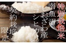 【令和7年産】【定期配送5Kg×6ヶ月】特別栽培 生産者限定  南魚沼しおざわ産コシヒカリ【2025年10月上旬より順次発送予定】