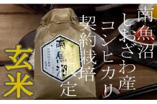 【令和7年産】【定期便4Kg×12ヶ月】●玄米● 生産者限定 南魚沼しおざわ産コシヒカリ【2025年10月上旬より順次発送予定】