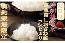 【令和7年産】※定期便：15Kg×3ヶ月※特別栽培 生産者限定  南魚沼しおざわ産コシヒカリ【2025年10月上旬より順次発送予定】