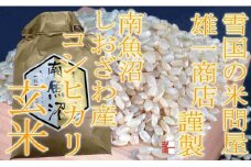 【令和7年産】●玄米● 【定期便5Kg×6ヶ月】 生産者限定 南魚沼しおざわ産コシヒカリ【2025年10月上旬より順次発送予定】