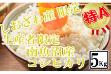 【令和7年産】【精米5kg】しおざわ産限定 生産者限定 南魚沼産コシヒカリ【2025年10月上旬より順次発送予定】