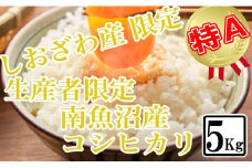 【令和7年産】【精米5kg】しおざわ産限定 生産者限定 南魚沼産コシヒカリ【2025年10月上旬より順次発送予定】
