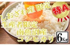 【令和7年産】【精米6kg】しおざわ産限定 生産者限定 南魚沼産コシヒカリ【2025年10月上旬より順次発送予定】