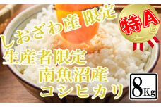 【令和7年産】【精米8kg】しおざわ産限定 生産者限定 南魚沼産コシヒカリ【2025年10月上旬より順次発送予定】