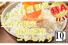 【令和7年産】【精米10kg】しおざわ産限定 生産者限定 南魚沼産コシヒカリ【2025年10月上旬より順次発送予定】