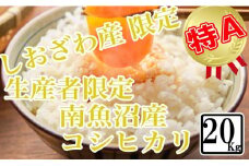 【令和7年産】【精米20kg】しおざわ産限定 生産者限定 南魚沼産コシヒカリ【2025年10月上旬より順次発送予定】