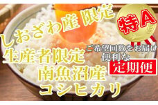 【令和7年産】【定期便2kg×12ヶ月】しおざわ産限定 生産者限定 南魚沼産コシヒカリ【2025年10月上旬より順次発送予定】