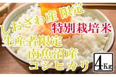 【令和7年産】【精米4kg】特別栽培 しおざわ産限定 生産者限定 南魚沼産コシヒカリ【2025年10月上旬より順次発送予定】