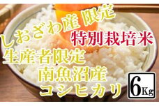 【令和7年産】【精米6kg】特別栽培 しおざわ産限定 生産者限定 南魚沼産コシヒカリ【2025年10月上旬より順次発送予定】