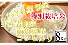 【令和7年産】【精米8kg】特別栽培 しおざわ産限定 生産者限定 南魚沼産コシヒカリ【2025年10月上旬より順次発送予定】