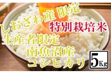 【令和7年産】【精米5kg】特別栽培 しおざわ産限定 生産者限定 南魚沼産コシヒカリ【2025年10月上旬より順次発送予定】