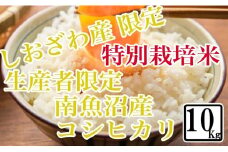 【令和7年産】【精米10kg】特別栽培 しおざわ産限定 生産者限定 南魚沼産コシヒカリ【2025年10月上旬より順次発送予定】