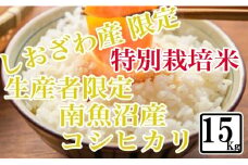 【令和7年産】【精米15kg】特別栽培 しおざわ産限定 生産者限定 南魚沼産コシヒカリ【2025年10月上旬より順次発送予定】