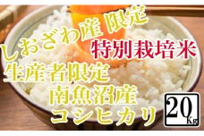 【令和7年産】【精米20kg】特別栽培 しおざわ産限定 生産者限定 南魚沼産コシヒカリ【2025年10月上旬より順次発送予定】