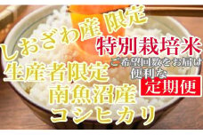 【令和7年産】【定期便8kg×9ヶ月】特別栽培 しおざわ産限定 生産者限定 南魚沼産コシヒカリ【2025年10月上旬より順次発送予定】