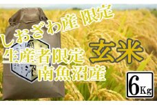 【令和7年産】【6kg】玄米 しおざわ産限定 生産者限定 南魚沼産コシヒカリ【2025年10月上旬より順次発送予定】