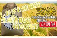 【令和7年産】【定期便2kg×3ヶ月】玄米 しおざわ産限定 生産者限定 南魚沼産コシヒカリ【2025年10月上旬より順次発送予定】