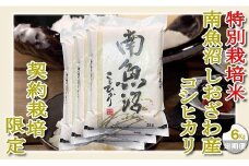 【令和7年産】【定期配送６Kg×３ヶ月】特別栽培 生産者限定  南魚沼しおざわ産コシヒカリ【2025年10月上旬より順次発送予定】