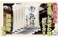 【令和7年産】【定期配送８Kg×１２ヶ月】特別栽培 生産者限定  南魚沼しおざわ産コシヒカリ【2025年10月上旬より順次発送予定】